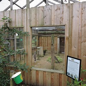 One of two seriema enclosures