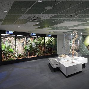Haus der Natur Salzburg - Entrance area of the Reptile Zoo