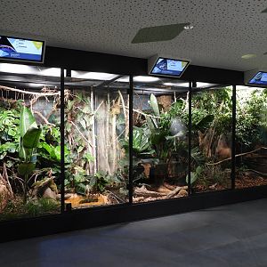 Haus der Natur Salzburg - Haus der Natur Salzburg