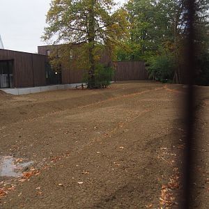 New entrance construction site - New wadi/bioswale with overflow into pelican pond, 2025-10-29