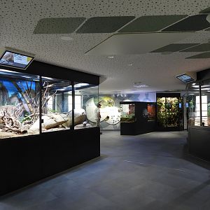 Haus der Natur Salzburg - Overview of the second room