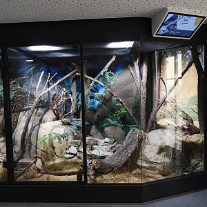 Haus der Natur Salzburg - Part of the African savannah panorma