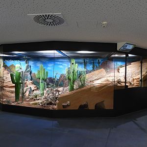 Haus der Natur Salzburg - North American panorama