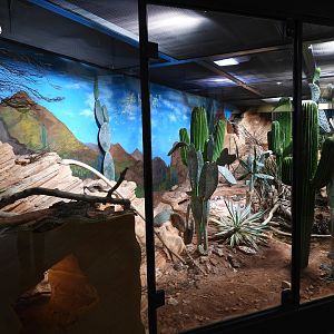 Haus der Natur Salzburg - North American panorama