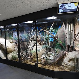 Haus der Natur Salzburg - Part of the African savannah panorma