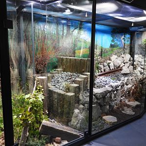 Haus der Natur Salzburg - Exhibits for native herps