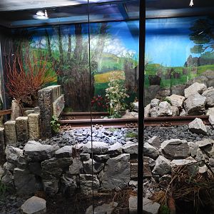 Haus der Natur Salzburg - Exhibits for native herps