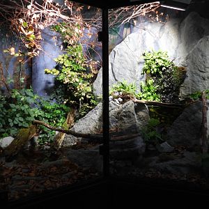 Haus der Natur Salzburg - Exhibits for native herps