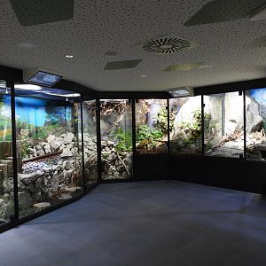 Haus der Natur Salzburg - Overview third room