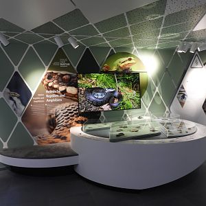 Haus der Natur Salzburg - Gallery of all Austrian herps