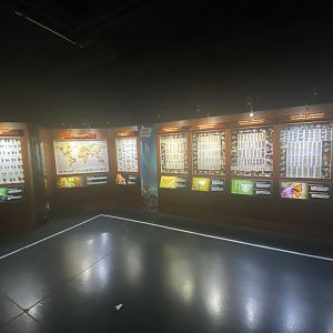Education displays 4