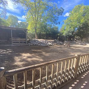 Miniature donkey enclosure