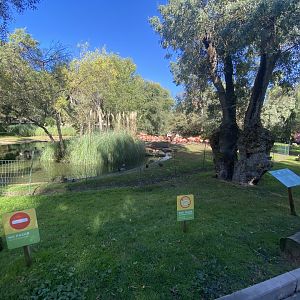 1st view of American flamingo enclosure