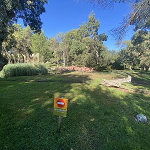 2nd view of American flamingo enclosure