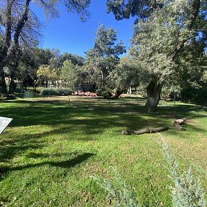 3rd view of flamingo enclosure
