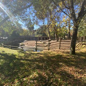 1st view of South American tapir enclosure