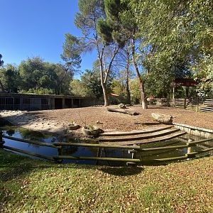 2nd view of South American tapir enclosure