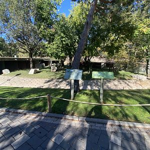 Red panda and muntjac enclosure