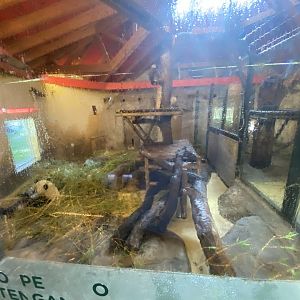 1st indoor giant panda enclosure