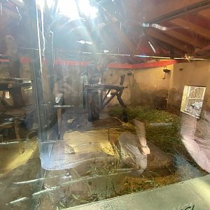2nd indoor giant panda enclosure