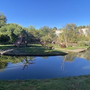 Black-capped capuchin islands