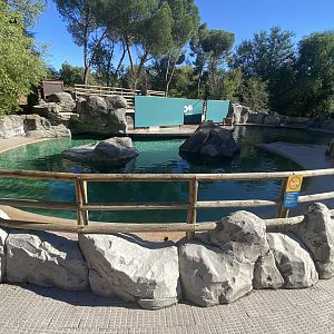 Patagonian sea lion enclosure