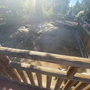 Pygmy goat enclosure