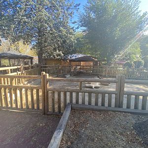 2nd view of Pygmy goat enclosure