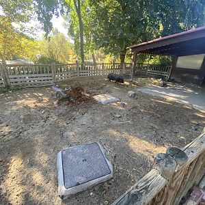 Pig enclosure