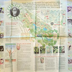 1993 Article of Jungle Trails + Map