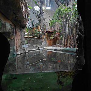 Siamese crocodile exhibit