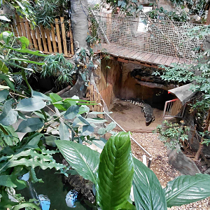 Siamese crocodile exhibit