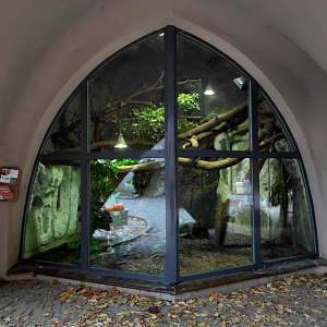 Crocodile monitor exhibit