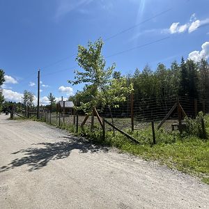 Front part of the elk exhibit