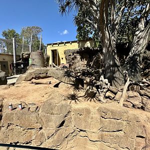 Cape Porcupine Exhibit (Under Renovation)