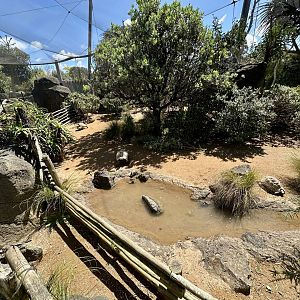 Leopard Tortoise Exhibit (Outside)