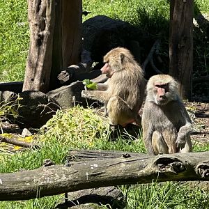 Kito and Naeemah (Mother and Daughter)