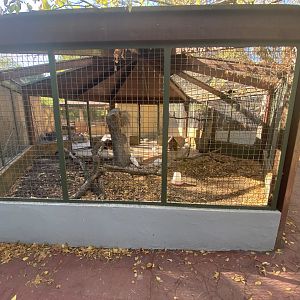 Chicken aviary 2