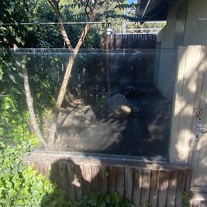 Outdoor leopard tortoise enclosure