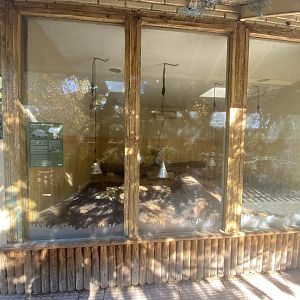 Indoor leopard tortoise enclosure