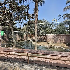 Giant Otter exhibit
