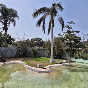 American Crocodile exhibit