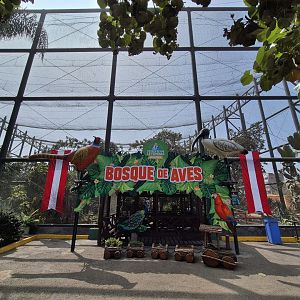 Bosque de Aves big Aviary