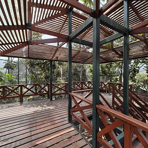 Bosque de Aves viewing platform