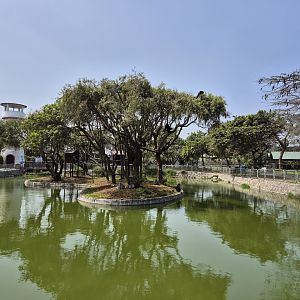 Waterfowl lake with Water Buffalo paddock