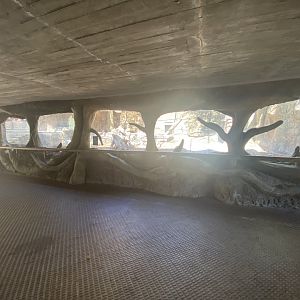 View of Southern ground hornbill enclosure