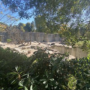 View of Asiatic black bear enclosure 1