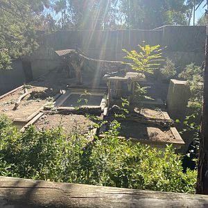 1st view of 1st sun bear enclosure