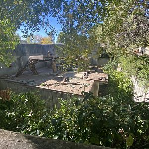 2nd view of 1st sun bear enclosure