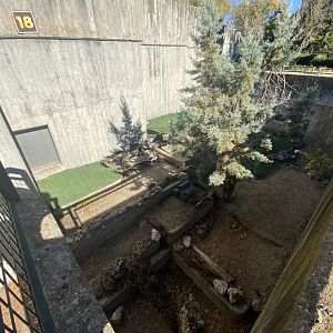 Raccoon enclosure